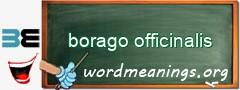 WordMeaning blackboard for borago officinalis